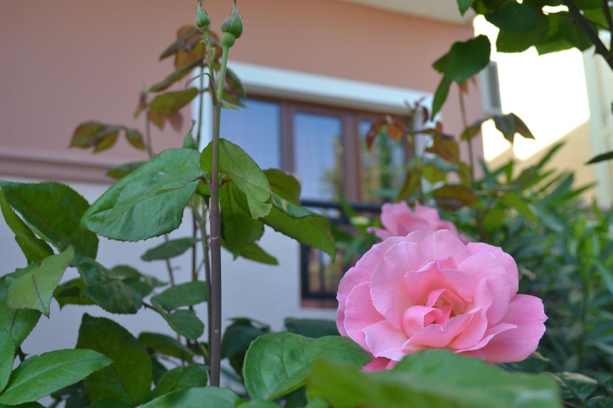 الشقق الفندقية ستالوسفي  Melina'S House المظهر الخارجي الصورة